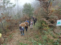 乌蒙“菌人”的战役