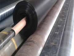 翠峦区泥鳅养殖膜