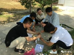 耀州：种子管理站展开玉米苗期转基因检测义务