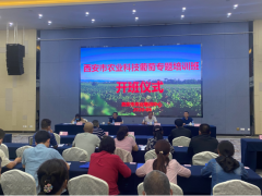 西安：线上+线下专题培训，助力葡萄产业提质增效