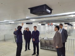 城固：晋中市委农办主任、晋中市农业农村局局长赵维君来城调研生猪稳产保供义务