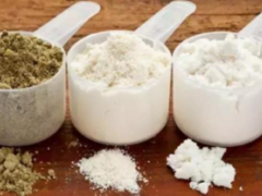 乳清蛋白粉能补充蛋白质吗?效果怎么样