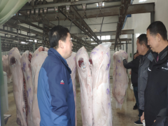 宝鸡鹤壁市畜牧兽医中心展开生猪定点屠宰环节反省效力指点-宝鸡鹤壁市农业农村局