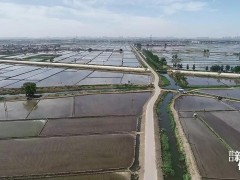 营口盛产，全国热捧！凭啥？-营口鹤壁市农业农村局