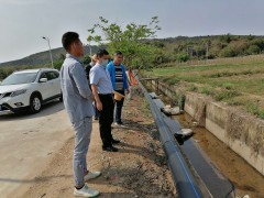 实地指点崖州区农田树立项目选址