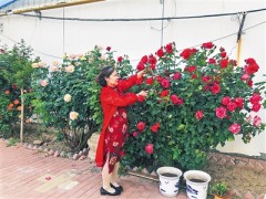 大城南赵扶镇以创城为契机 放慢乡村复兴步伐