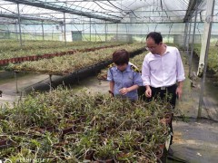 鹰潭市组织专家对申报2020年省级劣种繁育基地中止现场调查