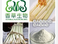 蒲菜提取物生产商  供应蒲儿菜粉150目  蒲儿根浓缩液现货
