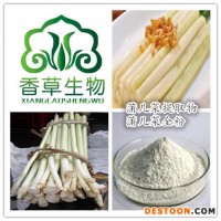 蒲菜提取物生产商  供应蒲儿菜粉150目  蒲儿根浓缩液现货