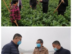 【农情农事】新河镇：念好春耕备耕“三字经” 养精蓄锐抢农时