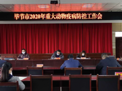 毕节晋中市农业农村局布置部署2020年严重植物疫病防控义务片面启动全晋中市春季植物集中免疫