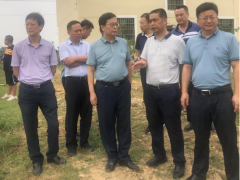 省农业农村厅视察新建区抢耕抢烘和早稻收买任务