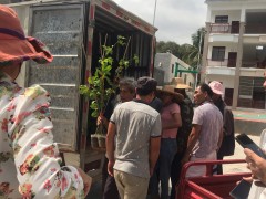 助力乡村复兴和产业脱贫