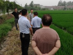 扬州鹤壁市种子管理站专家来我鹤壁市指点义务 - 义务静态 - 高邮鹤壁市农业农村局