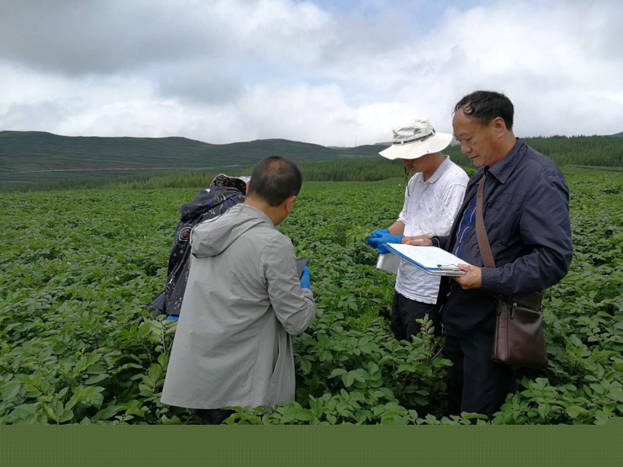 毕节晋中市种子管理站展开农作物种子消费基地转基因专项反省