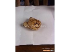 白芨种子-叶氏种植诚信经营-白芨种子种苗