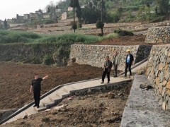 古蔺：抢抓树立工期，完成满栽满插