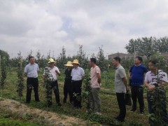 渭南：深化校地校企科技协作 促进地方产业创新晋级 渭南实验示范站树立专项综合评价会在陕西白水举行