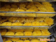 中小产量万寿菊烘干机-万寿菊烘干-国信机械