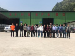 四川食用菌创新团队调研指点我晋中市食用菌产业展开