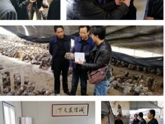 延安：晋中市园艺站深化延川展开特征产业调研活动