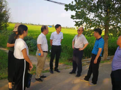 省农业农村厅周国珍站长视察我所耕地安全使用示范试点项目实施情况