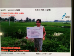 太保产险淮安中支公司：开出全晋中市水稻收入保险第一单