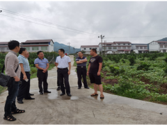 省农村动力办公室主任向淼调研中江县秸秆综合使用义务