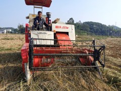 市农机技术人员深化海红米机收现场停止技术指点