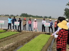 鹤壁市作栽站组织召开育秧现场培训与小麦后期田管会 - 义务静态 - 高邮鹤壁市农业农村局