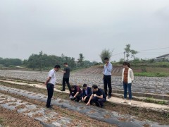 专家支招，助力泸州“川菜”产业展开