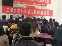 三里乡技艺培训合理时