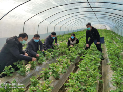 城固：驻农业农村局纪检监察组强化监视执纪全力保证打赢“三场硬仗”