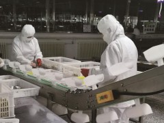 壮大特征优势产业叫响“承德山水”品牌