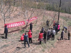 耀州：培训强技艺 走访暖民意