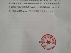 唐山市农业农村局关于展开中国对虾增殖放流任务的公示