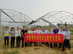 莒南县农业农村局展开“走进美丽乡村，体验茶香四溢”主题党日活动-临沂市农业农村局