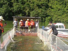 安康：李登章带队调研岚皋县大水面善态渔业展开义务