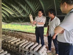 市农业农村局在峡江县调研指点秸秆综合使用试点项目