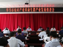 毕节晋中市：加大生猪产业展开扶持力度