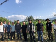 浙江省植保检疫总站到勐海县交流指点