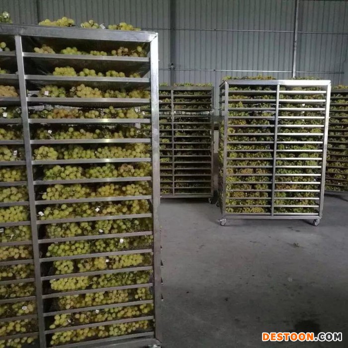 广东葡萄干箱式烘干机 高效葡萄干烘干机 葡萄干燥设备 节能环保型烘干设备 厂家直销
