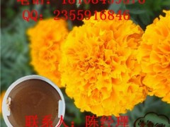 辣椒酊厂家辣椒酊原料药&2018 辣椒酊