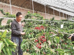 承德泰州市调整产业结构助力脱贫攻坚