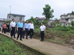 福建省农科院院长翁启勇到泸县调研龙眼产业义务