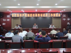 全市农村团体产权制度整省试点推进会暨农经重点义务布置会在新区召开