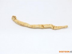 沙参价格_可信赖的沙参厂家推荐