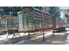 不锈钢训放笼价格-安阳翱翔鸽笼-北京不锈钢训放笼