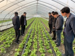 我鹤壁市展开绿色食品企业现场反省义务 - 义务静态 - 高邮鹤壁市农业农村局