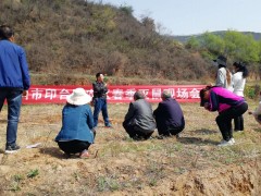 印台：2020年春季农田灭鼠义务拉开序幕